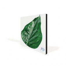 22in x 22in Aspen Slim Black Fabric Frames - Wall Mounted 3 Pack (Graphic Package)
