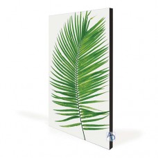 22in x 36in Aspen Slim Black Fabric Frames - Wall Mounted 3 Pack (Graphic Package)