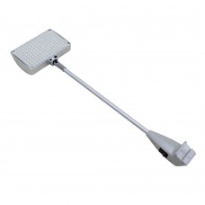 Aspen LED Light