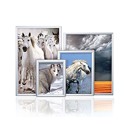 Poster Frame Graphic Holder 24in x 30in Economy Poster Snap Frame Trappa 8
