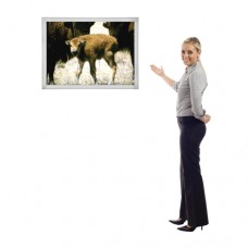 Safety Corner LED Light Box Graphic Display, 16 x 20