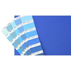 PMS Color Matching Service - This is a service not a physical item